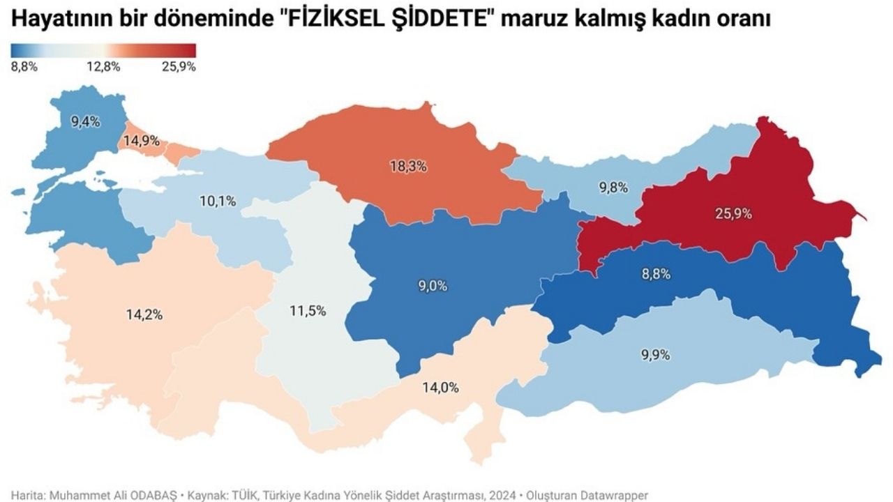 Kastamonu’da Kadına Yönelik Şiddet Endişe Verici Düzeyde (1)