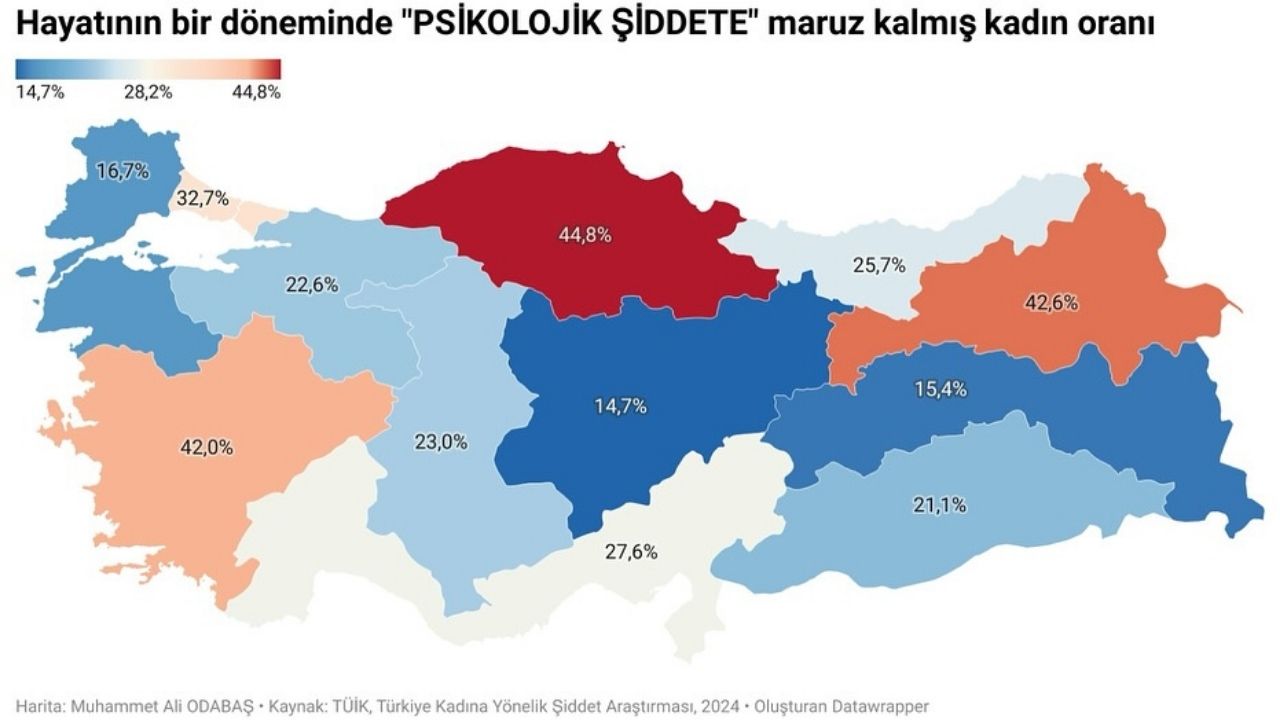 Kastamonu’da Kadına Yönelik Şiddet Endişe Verici Düzeyde (3)