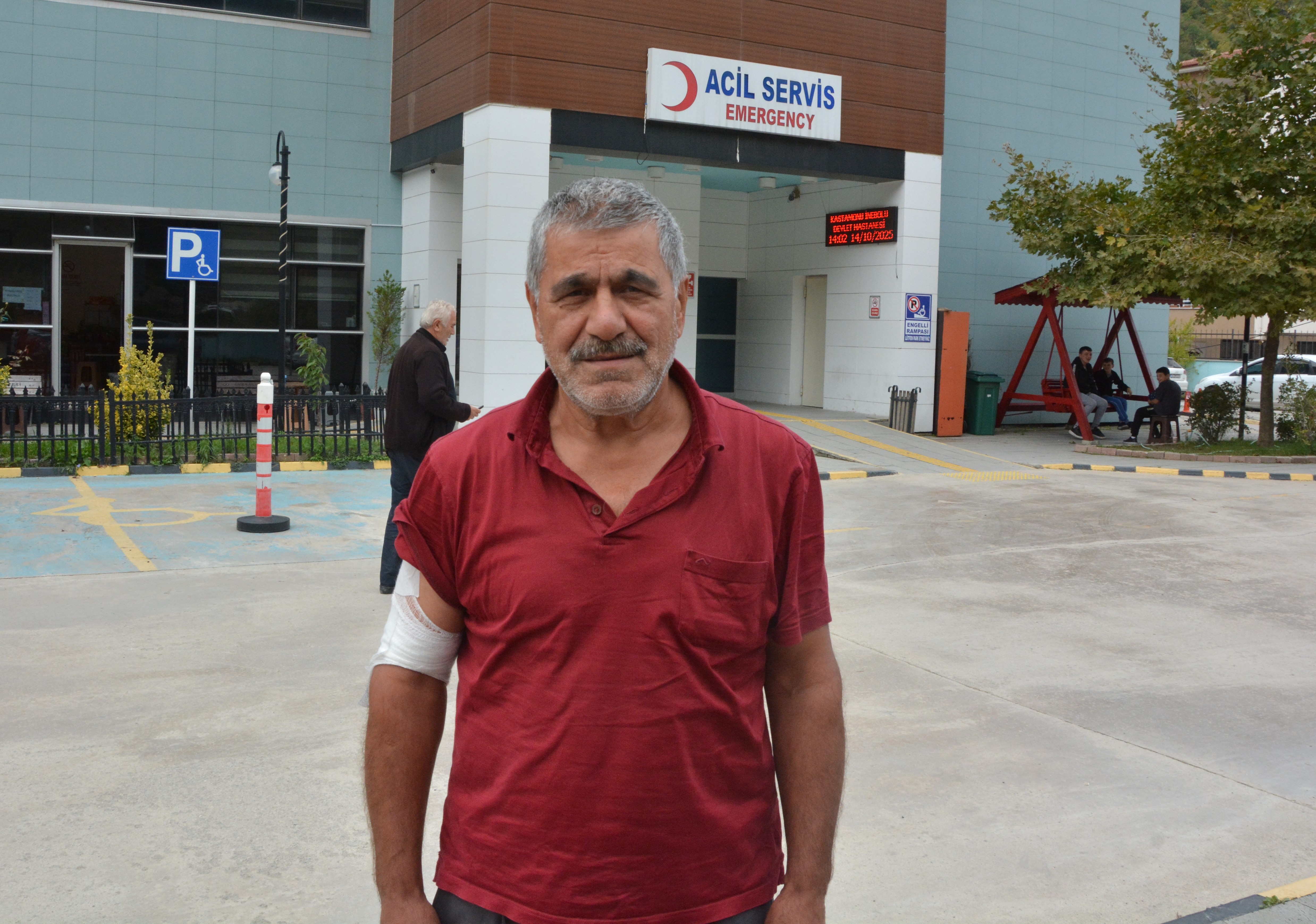 Kastamonu'da Kestane Toplayan Çiftçi Ayıdan Kaçarken Yaralandı 22
