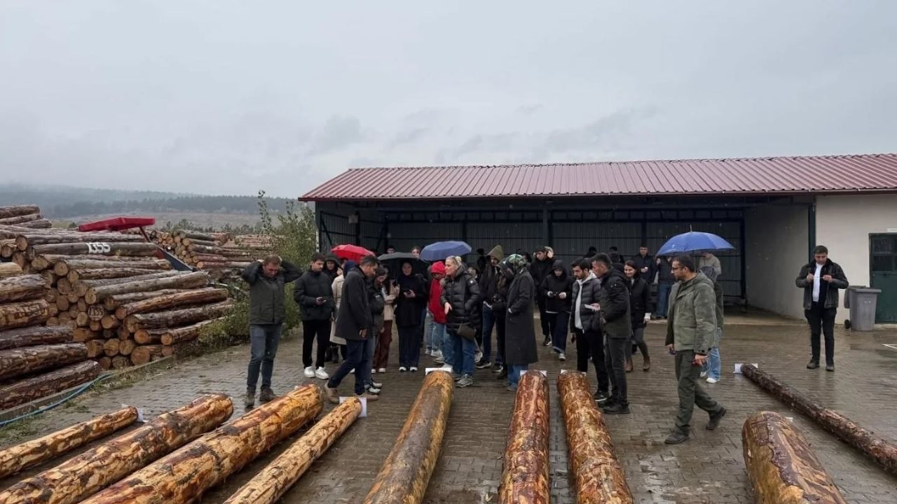 Kastamonu’da Orman Fakültesi Öğrencilerinden Teknik Gezi (6)