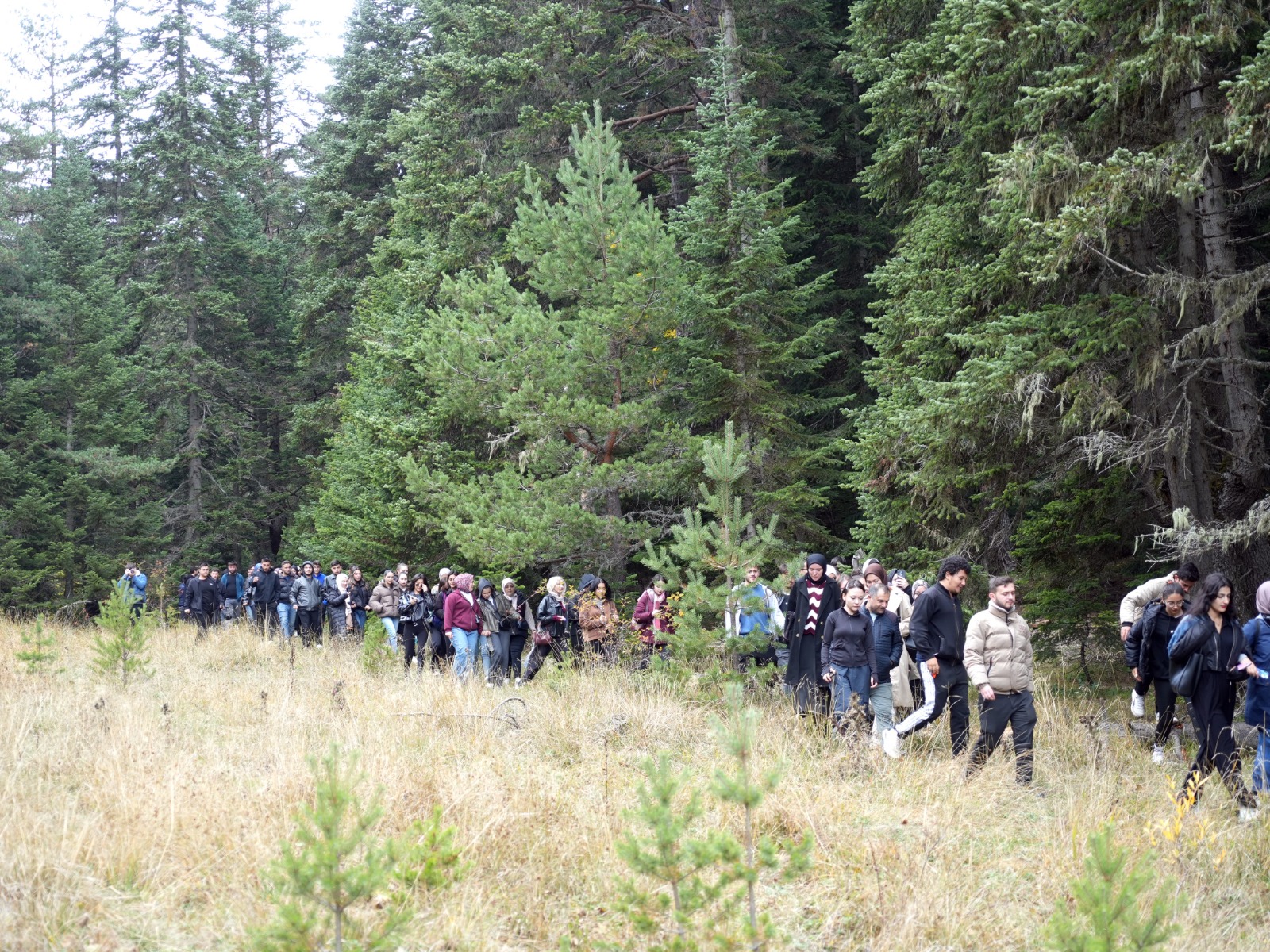 Kastamonu'nun Eşsiz Manzaralı Yaylasında Cumhuriyet Bayramı Coşkusu Yaşandı! 4