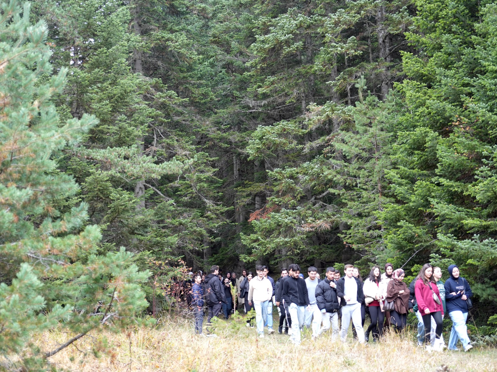 Kastamonu'nun Eşsiz Manzaralı Yaylasında Cumhuriyet Bayramı Coşkusu Yaşandı! 8