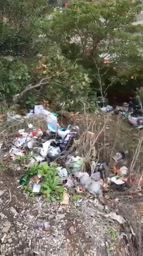 Kastamonu'nun Ilçesinde Eşsiz Manzarayı Çöpler Gölgeledi Vatandaşlar Tepkili! 3