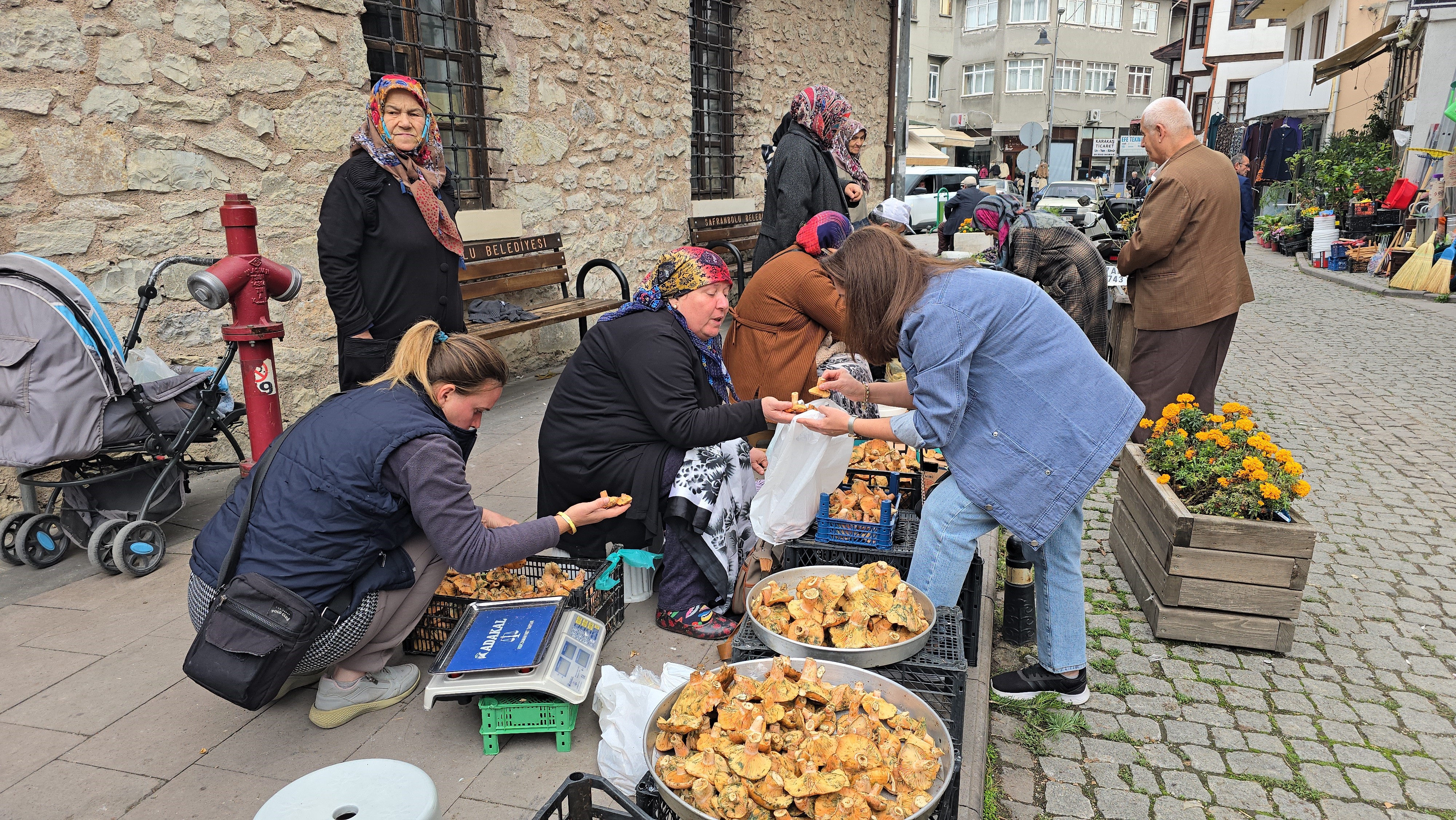 Komşu Ilde Kanlıca Bolluğu Yaşanıyor Kilosu 500 Tl'den Alıcı Buluyor 4