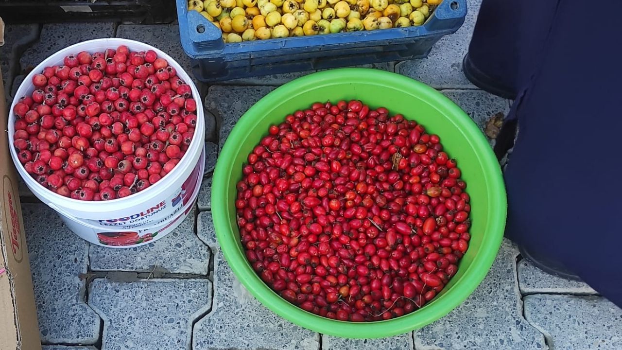 Kuşburnu Taşköprü (1)