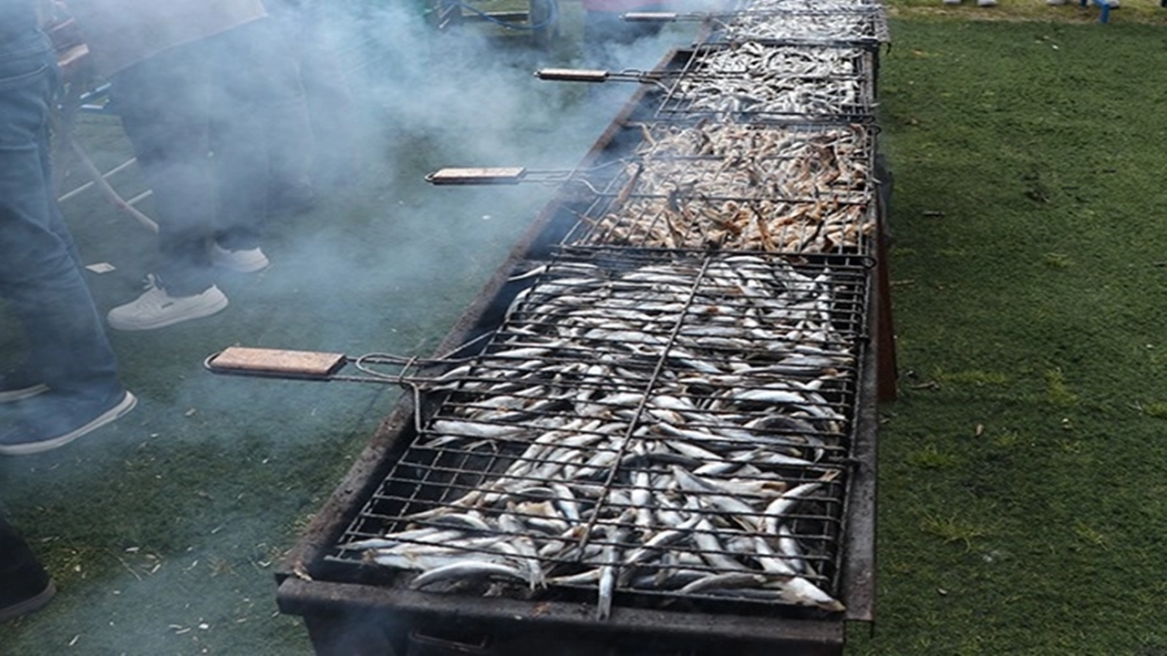 Mangal Hamsi