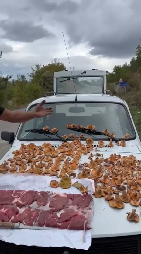 'Mantar Bulamam Diye Et Aldım' Dedi, Bereketi Yaşadı!