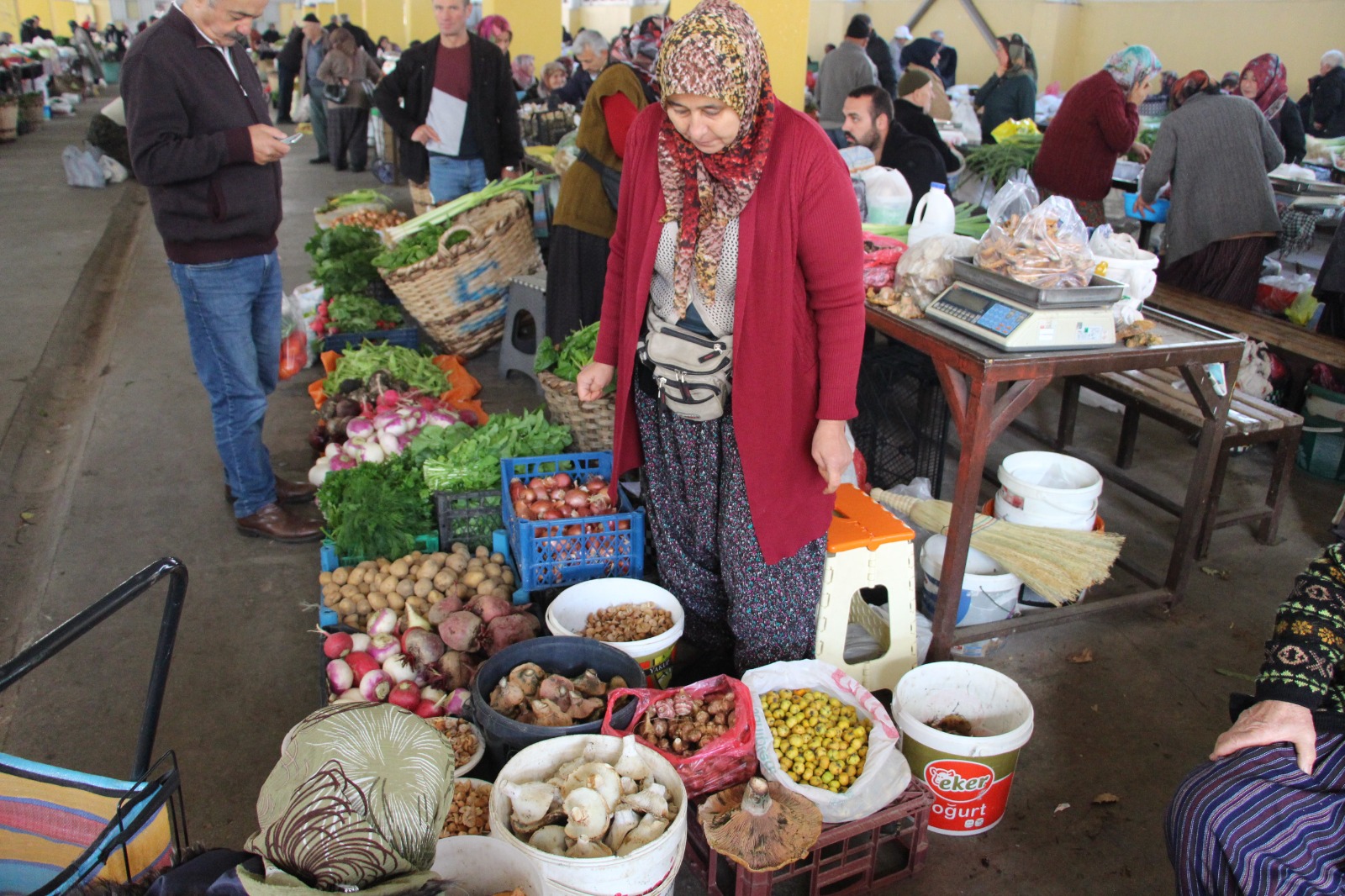 Ormandan Kova Kova Topladı, Pazarda Kilosu 400 Liraya Sattı! 8000