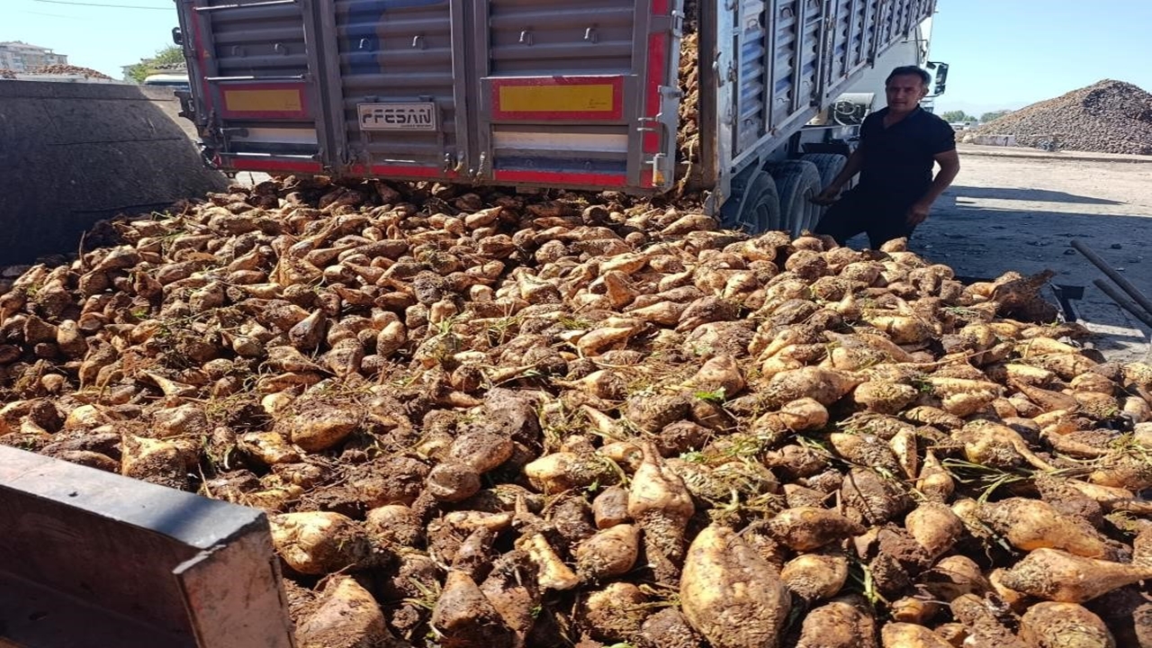 Pancar Şeker Fabrika (1)