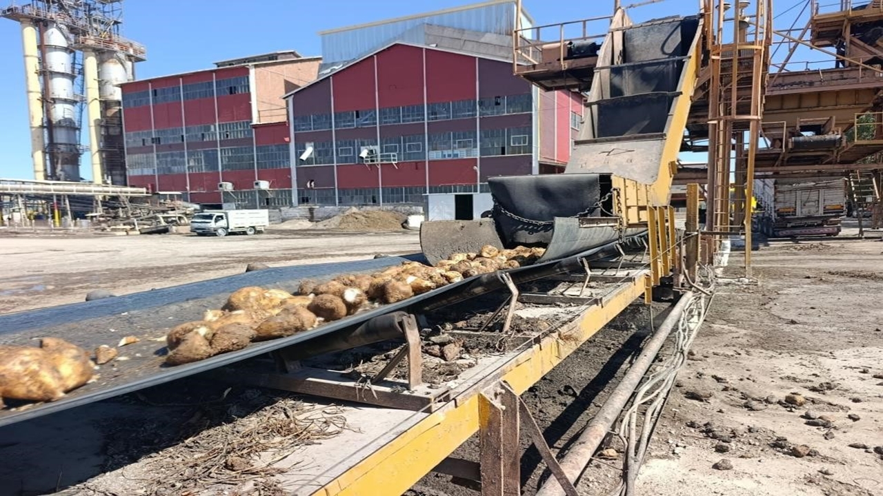 Pancar Şeker Fabrika (3)