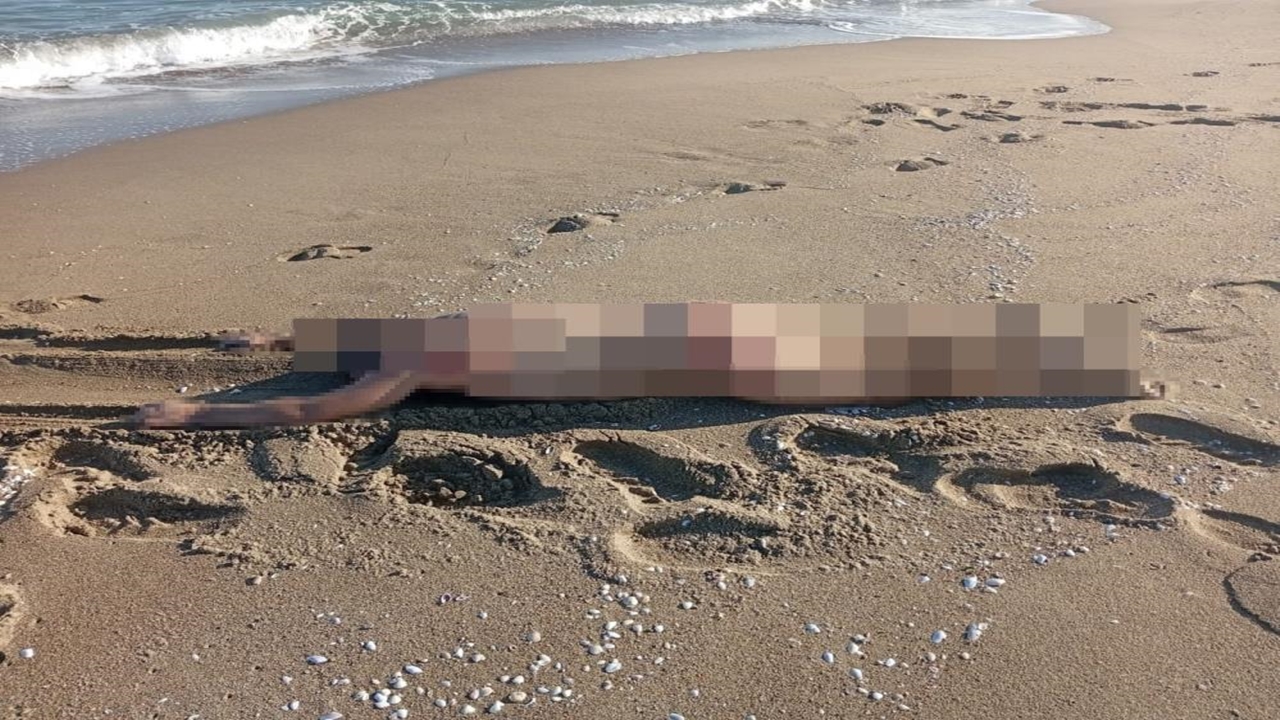 Sakarya Çıplak Erek Cesedi (1)