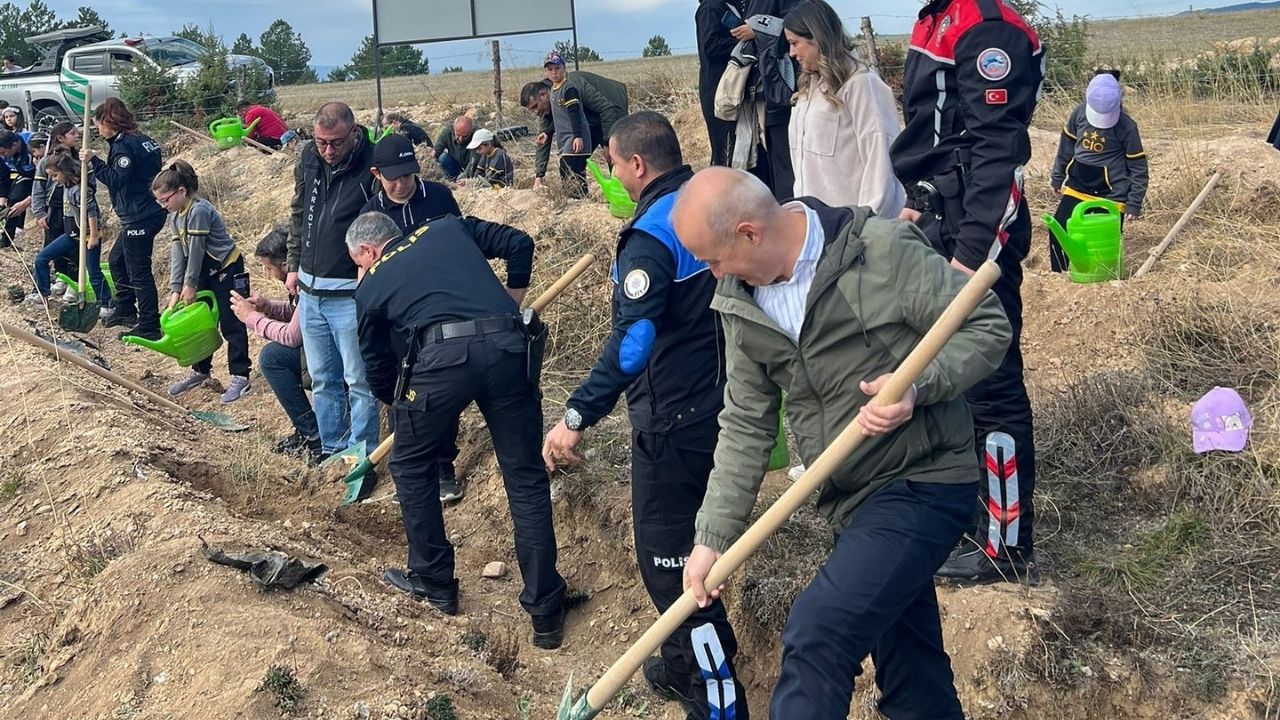 Şehit Ahmet Şahan Hatırasına Kastamonu’da Yeşil Dokunuş (6)