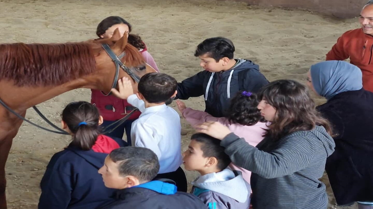 Sende Gel Taşkprü (4)