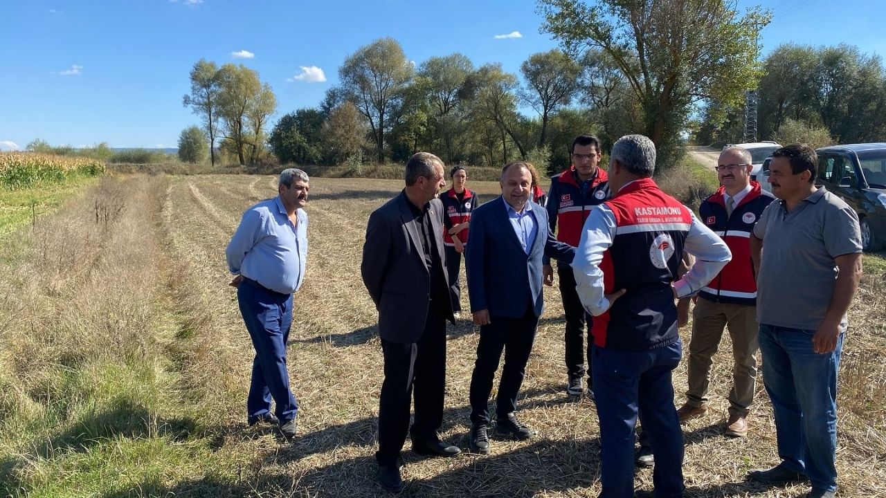 Silajlık Mısır Hasadı Kastamonu’da Başladı (3)