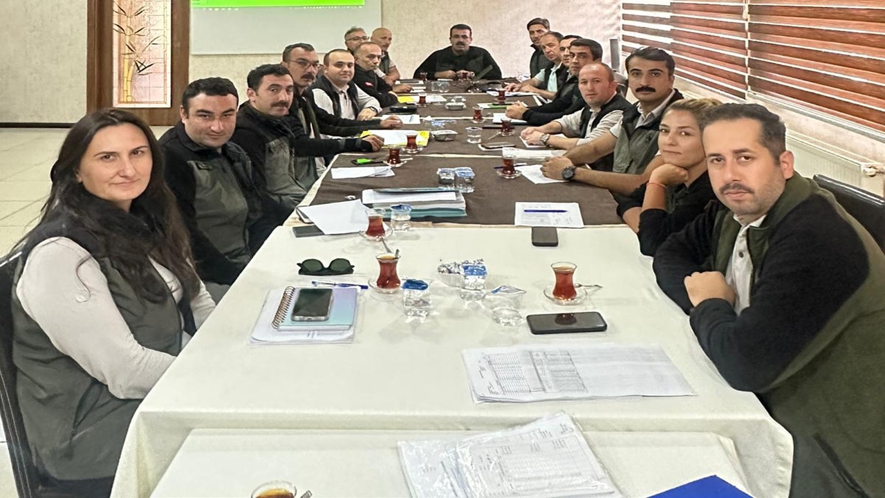 Taşköprü Germeç Orman (2)
