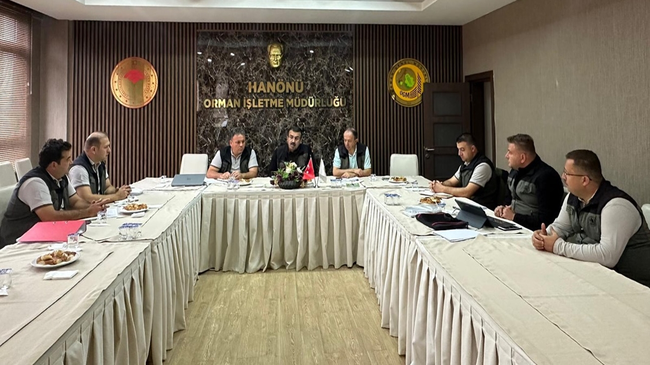 Taşköprü Germeç Orman (3)