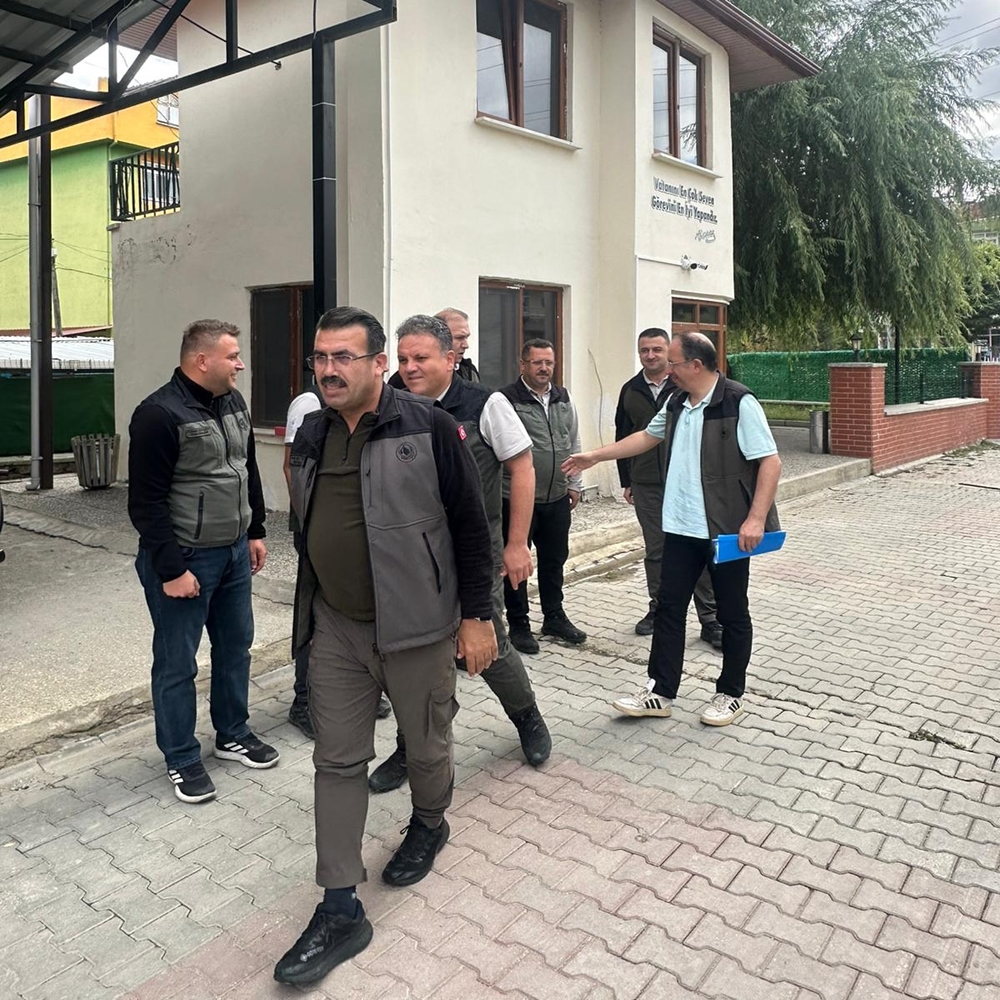 Taşköprü Germeç Orman (4)