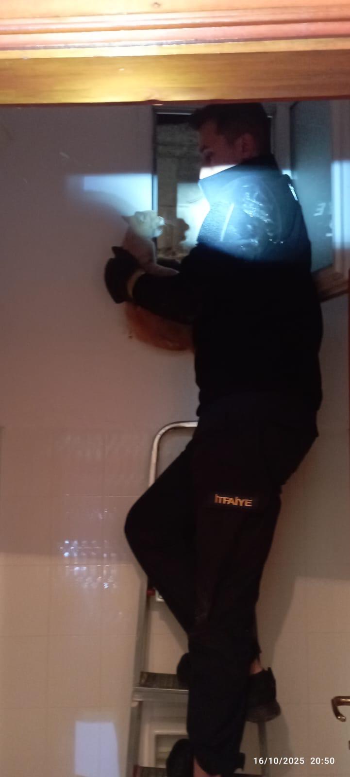 Taşköprü İtfaiyesi Mahsur Kalan Kediyi Kurtardı 1