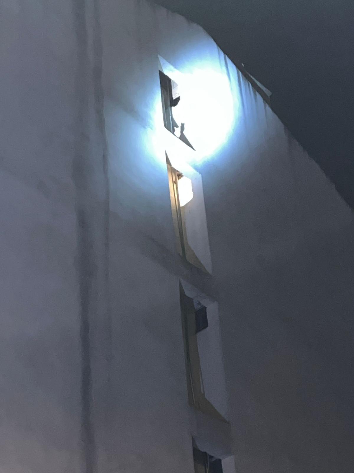 Taşköprü İtfaiyesi Mahsur Kalan Kediyi Kurtardı 44