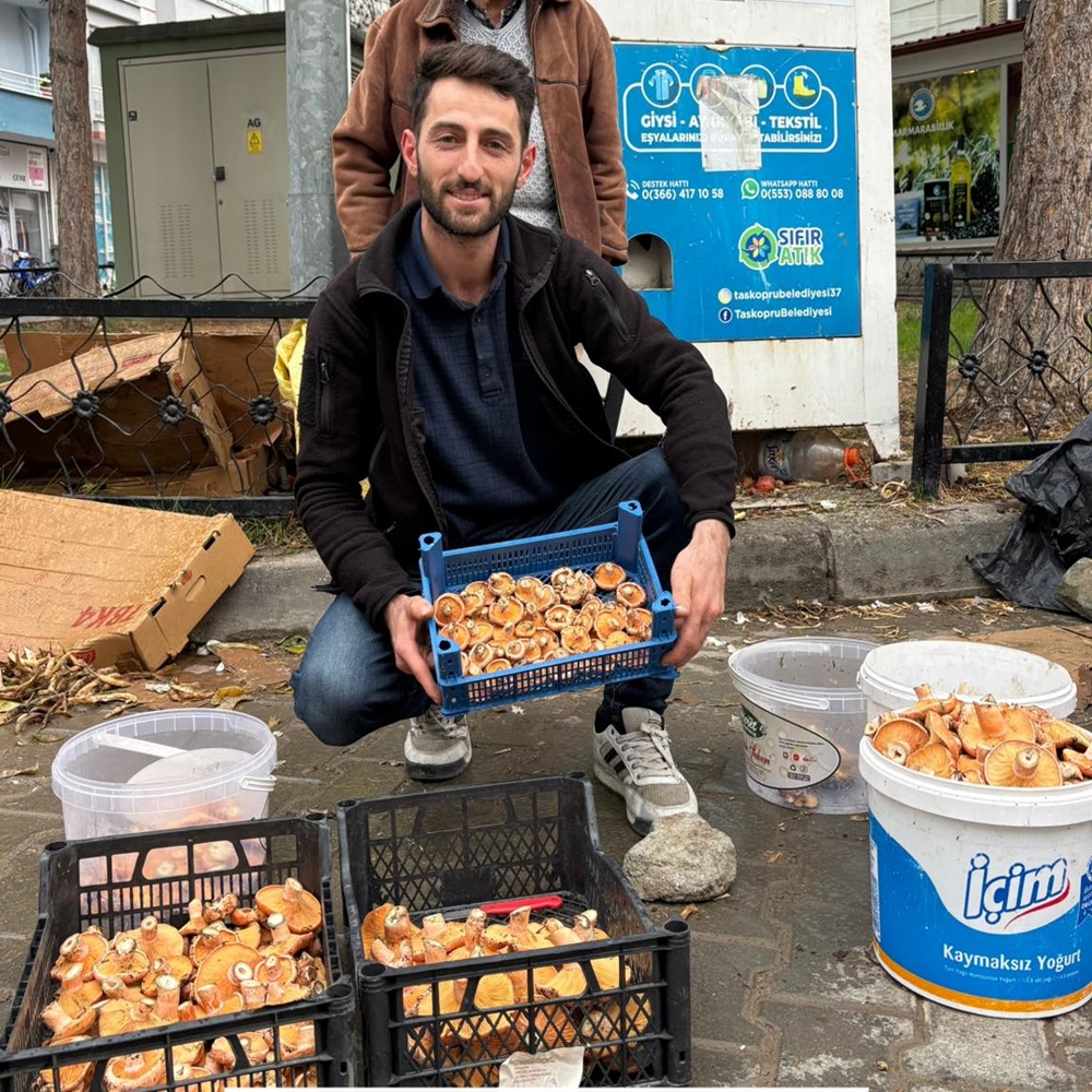 Taşköprü Kanlıca Mantar 10