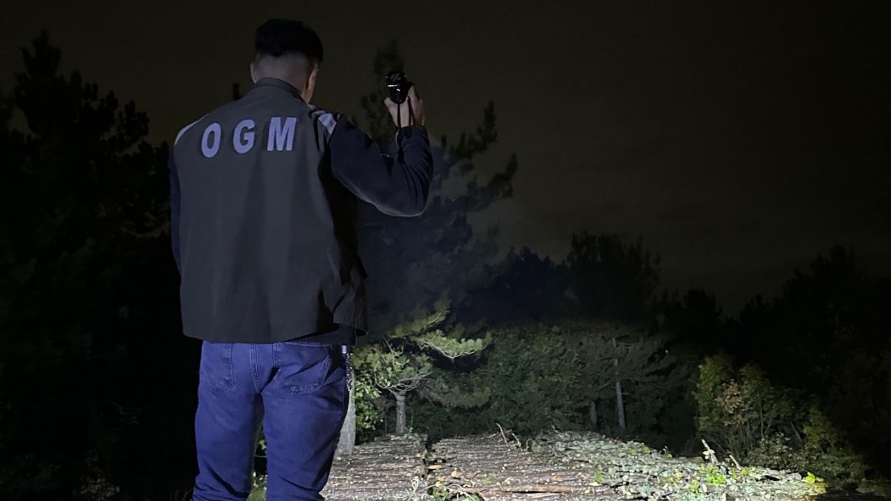Taşköprü Ormanlarında Gece Devriyesi Yeşil Vatan İçin Nöbet Sürüyor (3)