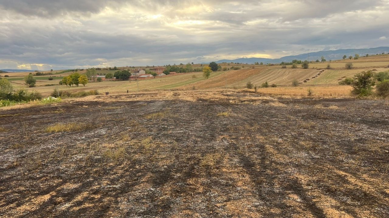 Taşköprü’de Anız Yangını Alevler Kontrol Altında (3)