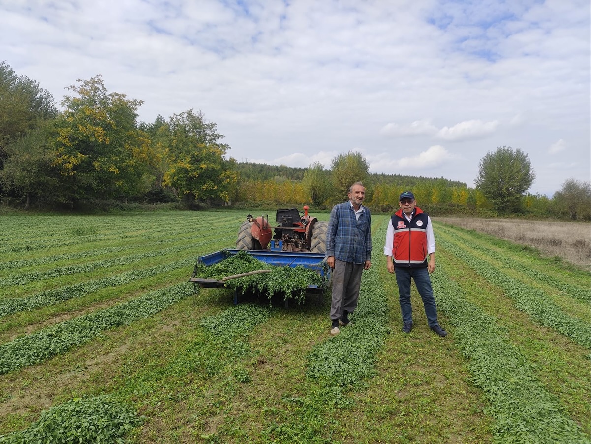 Taşköprü'nün Köyünde Bu Yıl 5 Kez Yonca Biçti, Verimden Memnun Kaldı! 2