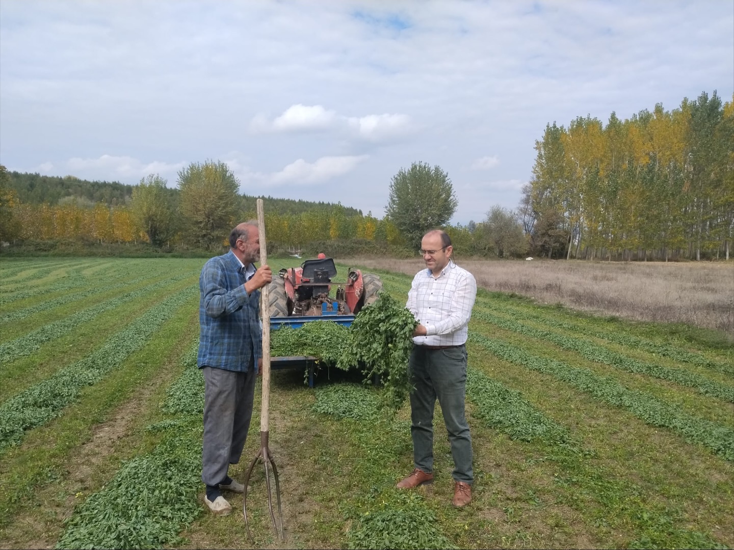 Taşköprü'nün Köyünde Bu Yıl 5 Kez Yonca Biçti, Verimden Memnun Kaldı! 34