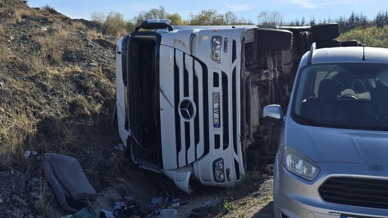 Tır Devrildi Inekler Öldü (2)