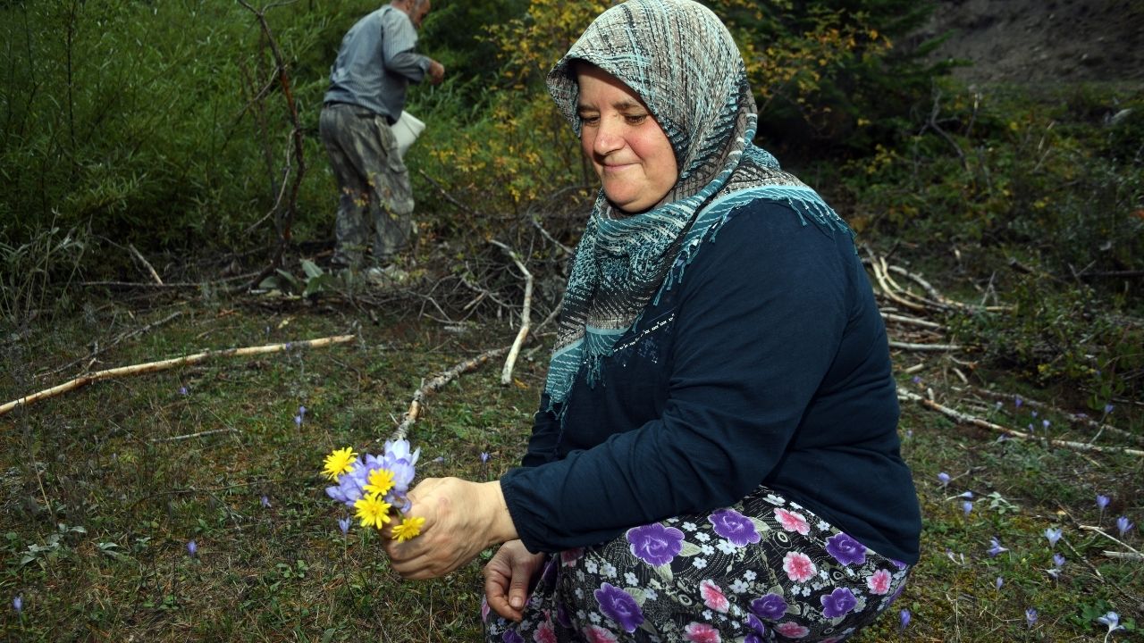 Vargit Çiçekleri (6)