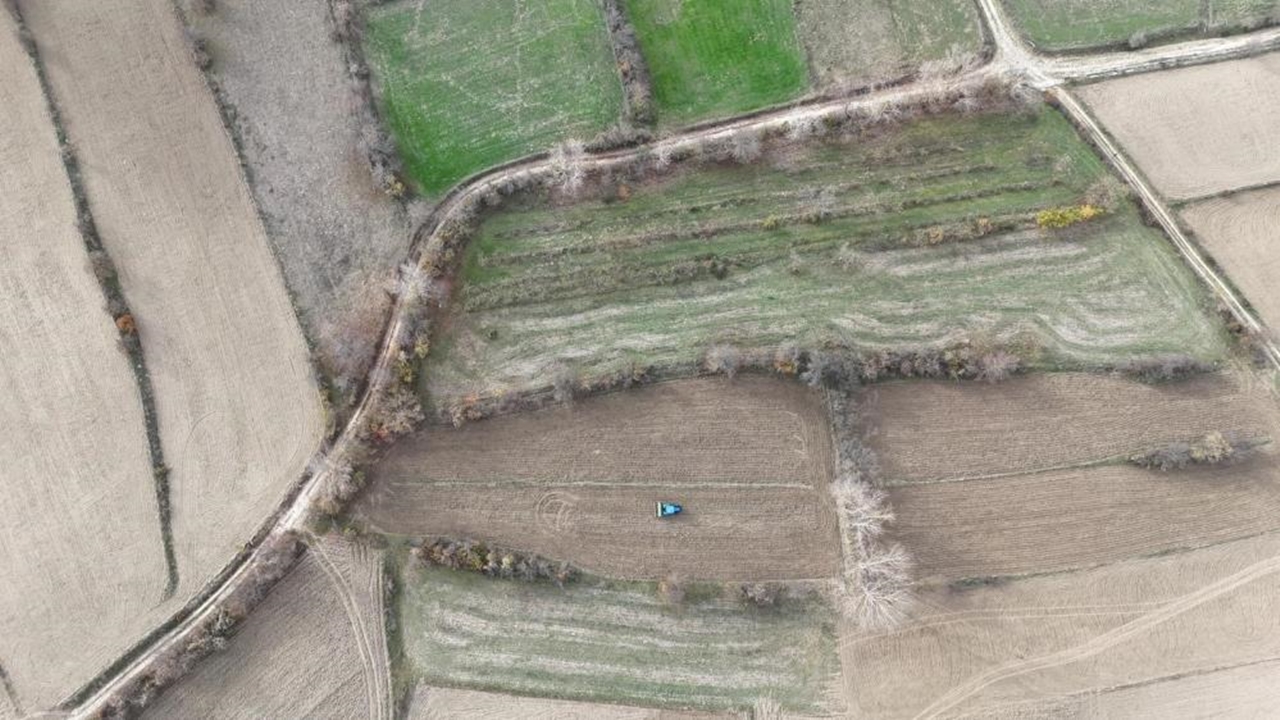 12 Bih Yıllık Siyez Buğdayı (2)