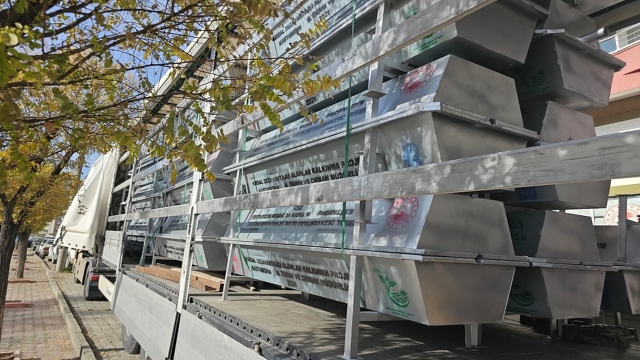 589173387 18119958103536166 2828343341655886356 N