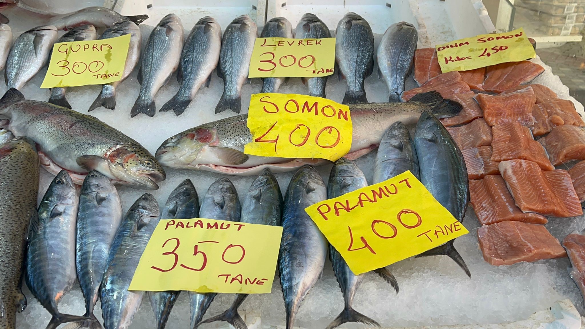 Balık Fiyatları Düştü Vatandaşlar Balığa Yöneldi 58