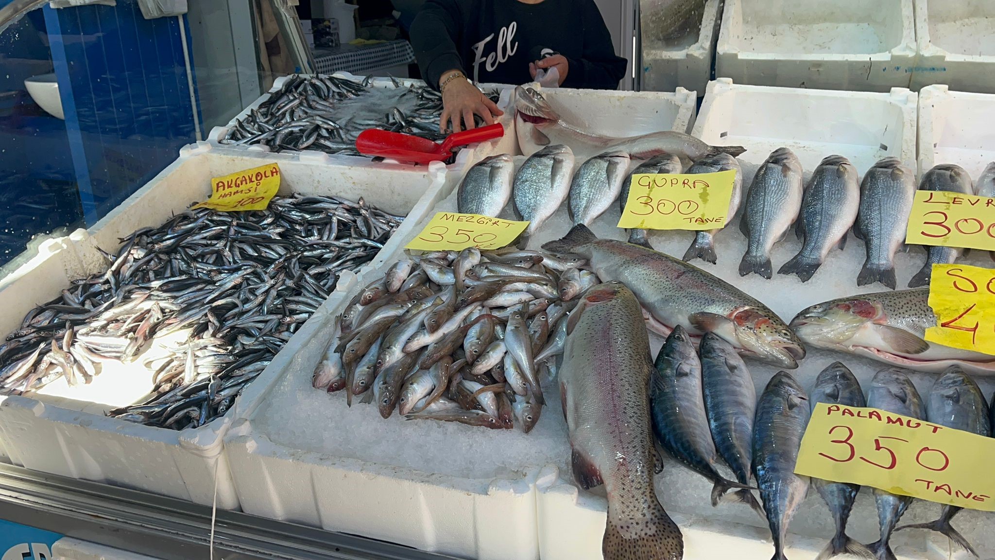 Balık Fiyatları Düştü Vatandaşlar Balığa Yöneldi 59