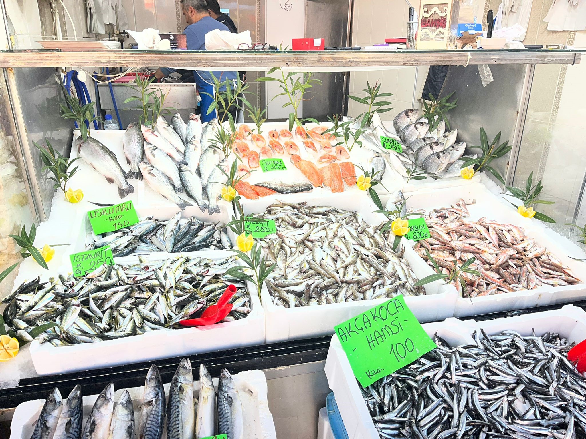 Balık Fiyatları Düştü Vatandaşlar Balığa Yöneldi 60