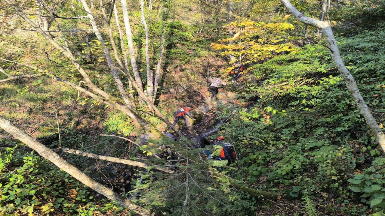 Bozkurt Kuzgun Anne Oğul (1)