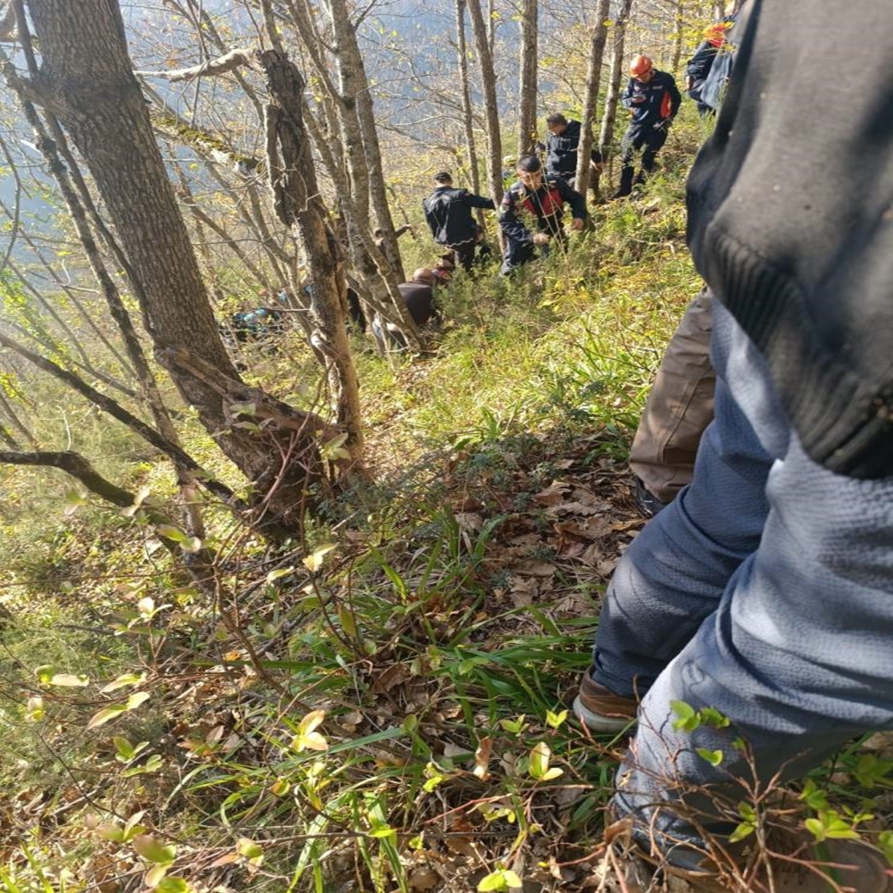 Bozkurt Kuzgun Anne Oğul (3)