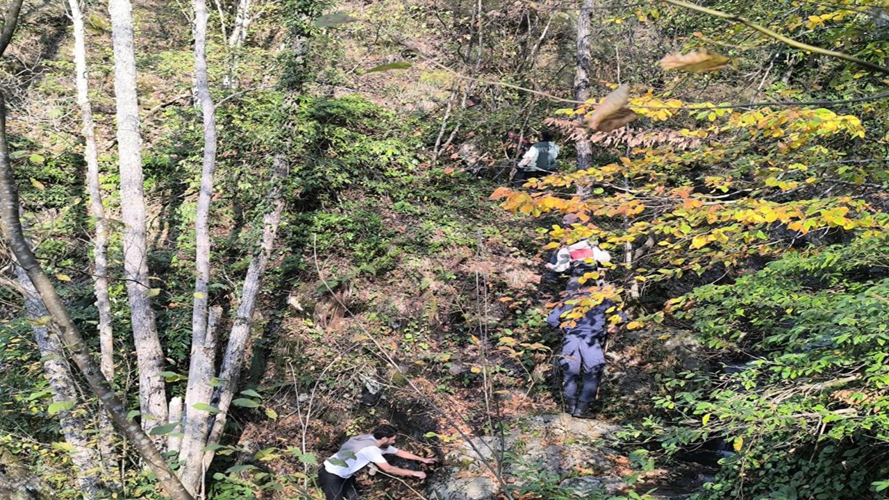 Bozkurt Kuzgun Anne Oğul (4)