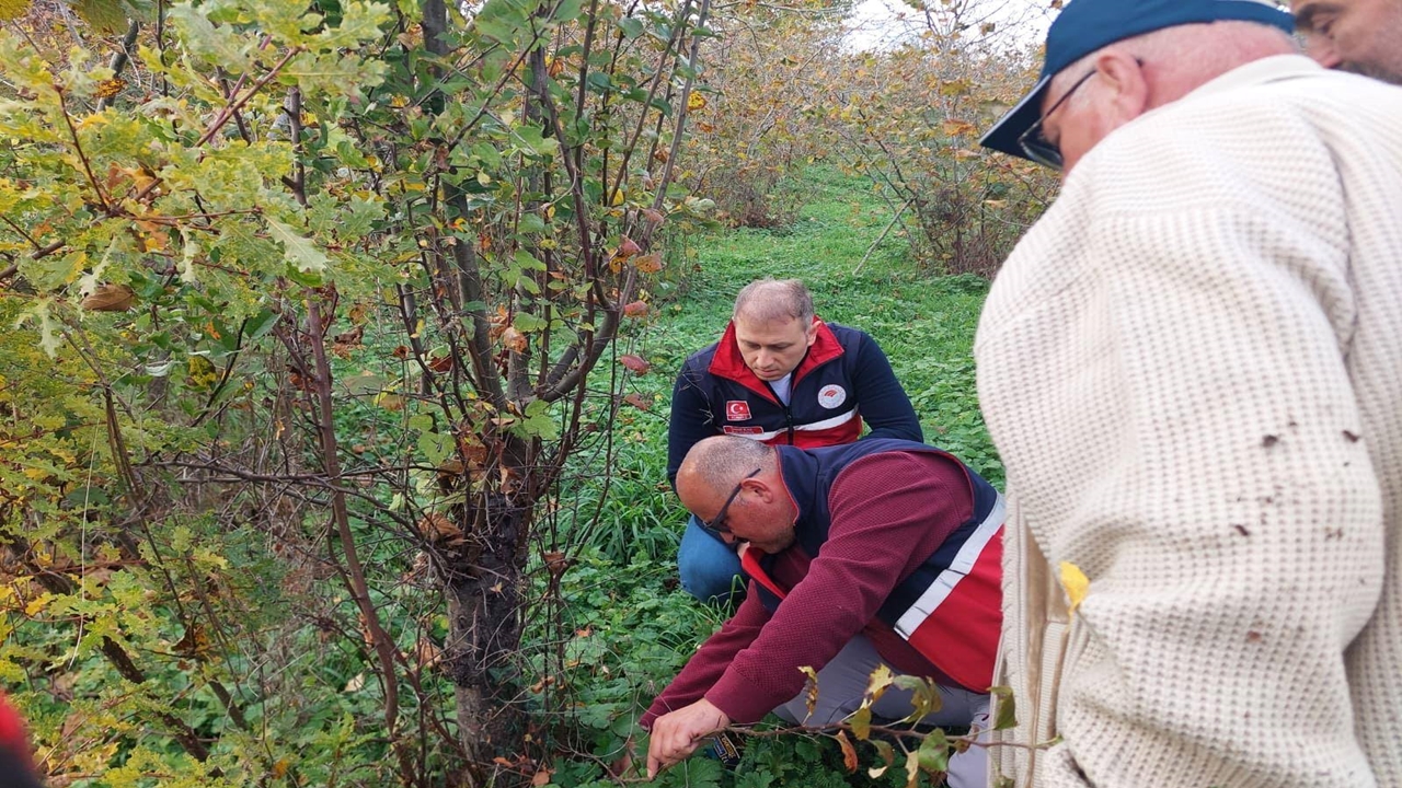 Çatalzeytin Tarım Eğitim (4)
