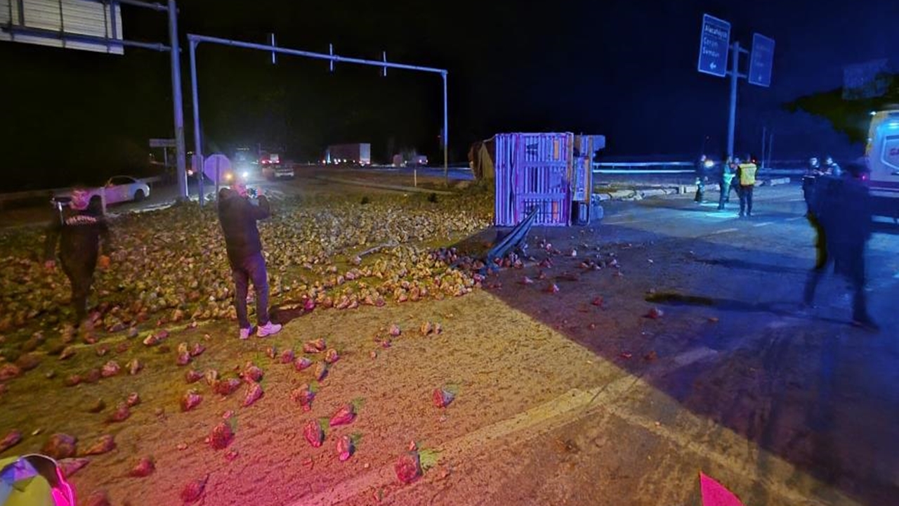 Çorum Tır Şeker Pancarı (3)