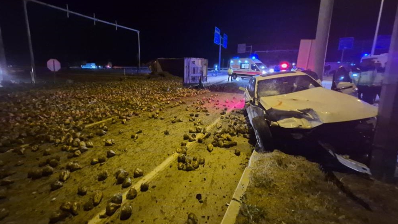 Çorum Tır Şeker Pancarı (5)