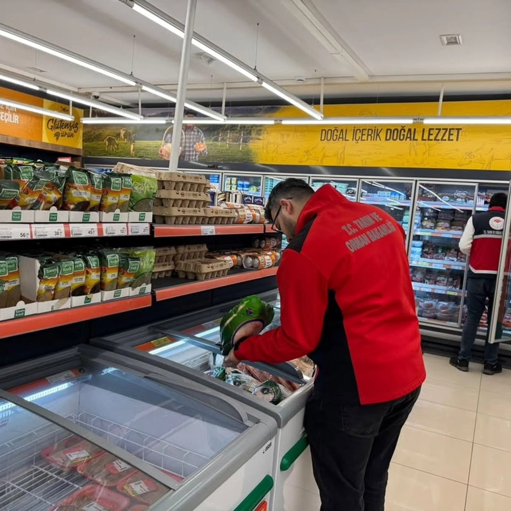 Devrekani Tarım (4)