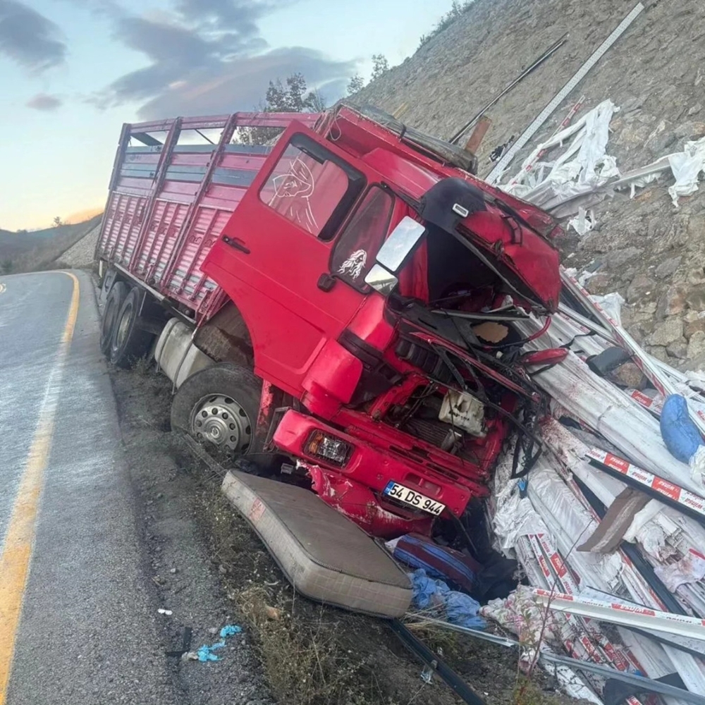 Fece Kaza Boyabat Kamyon 8 (2)