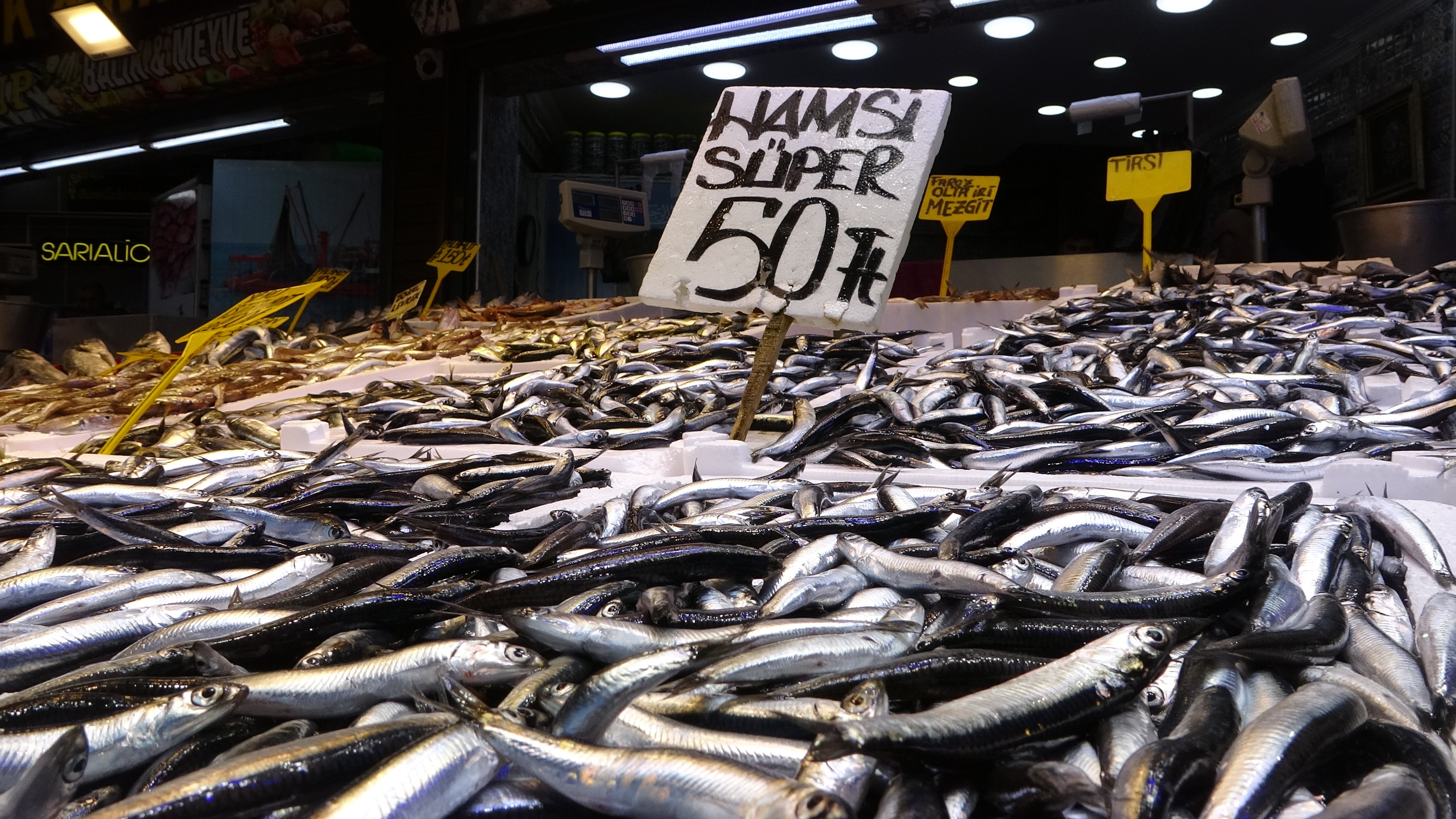 Hamsinin Kilosu 50 Liradan Satılıyor Son 35 Yılın En Bereketli Sezonu Yaşanıyor! 13