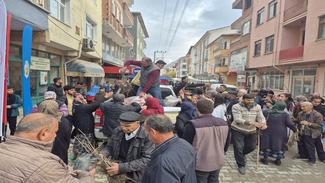 Hanönü Fidan (1)-1