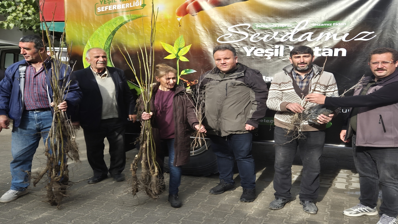 Hanönü Fidan (2)-1