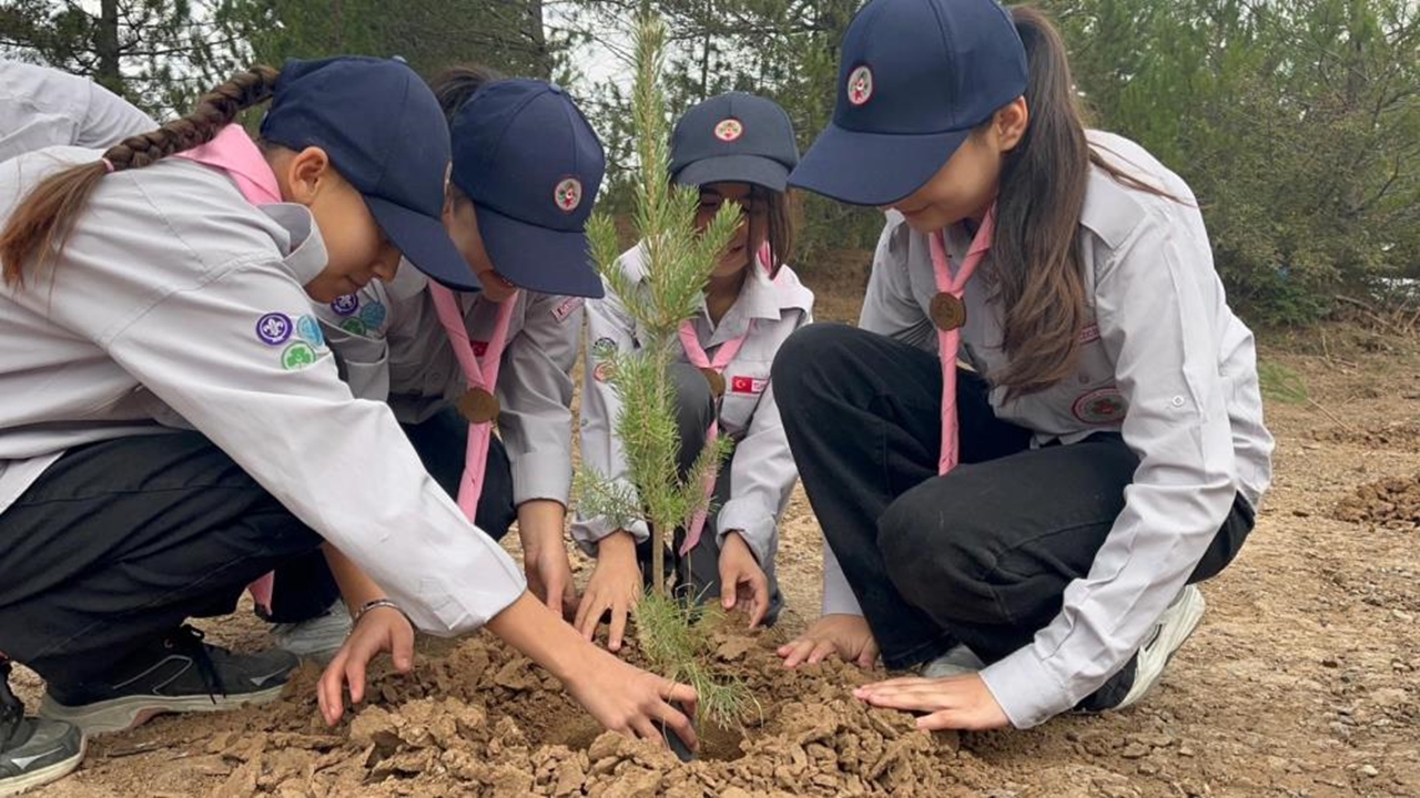 Ihsangazi Fidan Dikimi 11 Kasım (1)