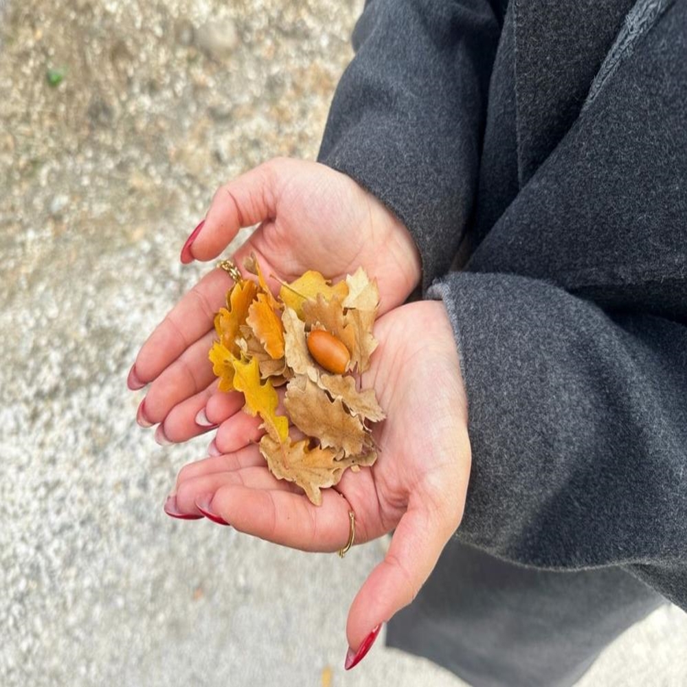 Ilgaz Renk Cünbüşü (2)