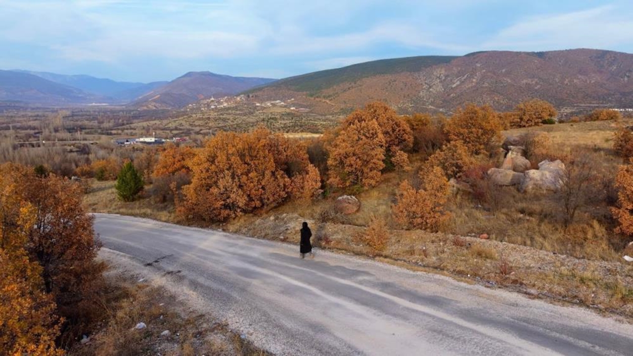 Ilgaz Renk Cünbüşü (3)