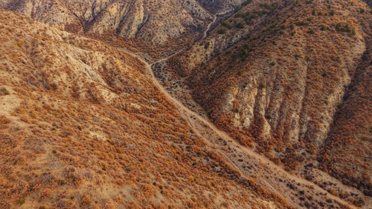Ilgaz Renk Cünbüşü (5)